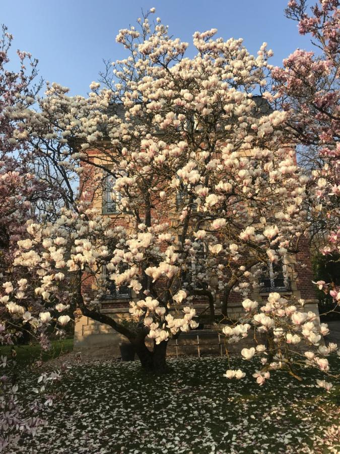 L'Atelier Des Magnolias Panzió Aumont-en-Halatte Kültér fotó