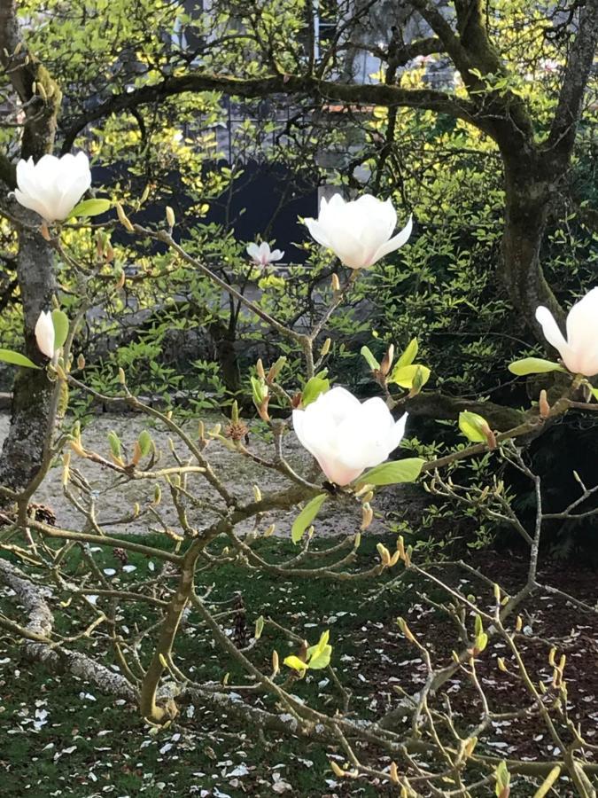 L'Atelier Des Magnolias Panzió Aumont-en-Halatte Kültér fotó
