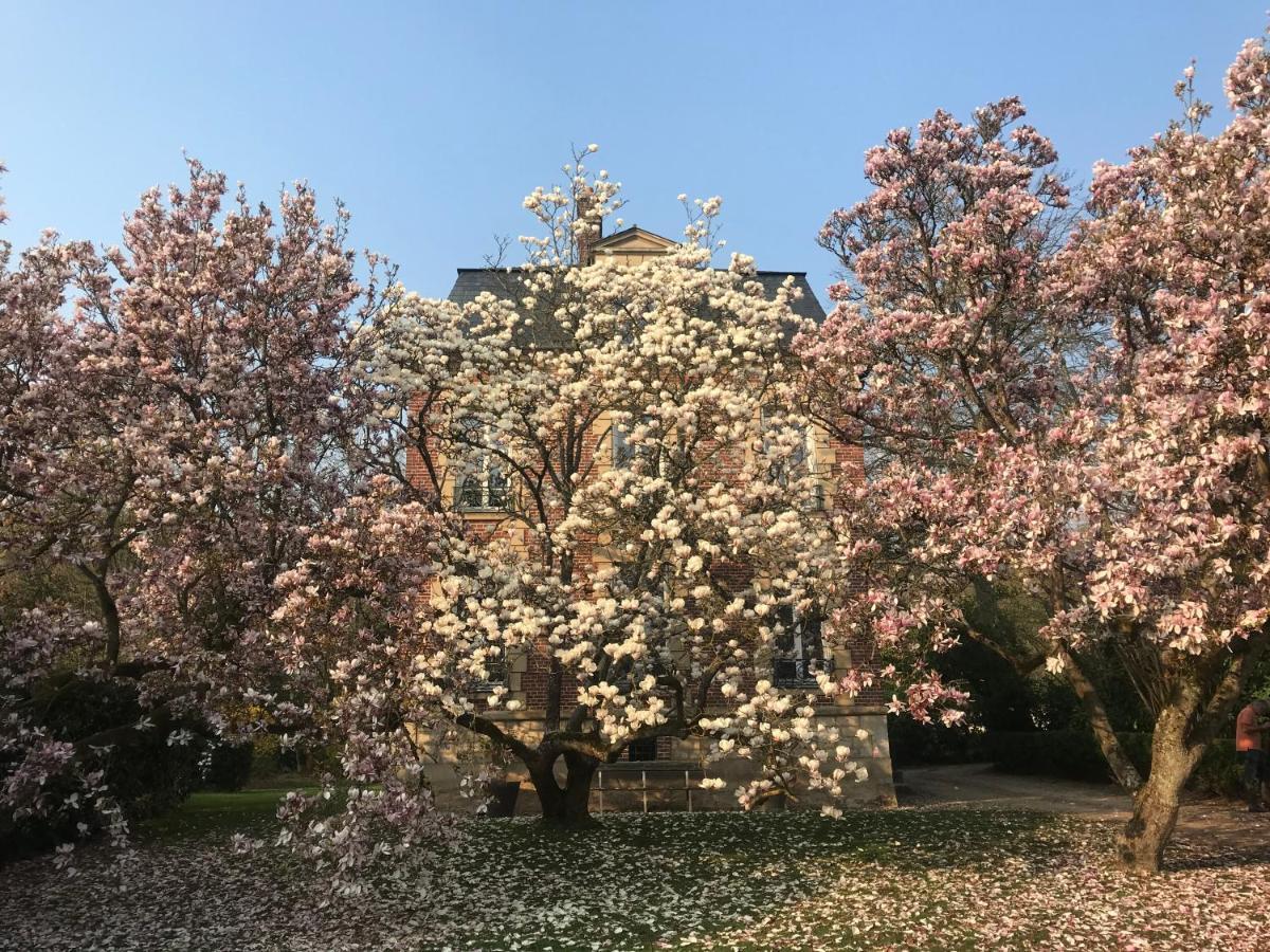 L'Atelier Des Magnolias Panzió Aumont-en-Halatte Kültér fotó